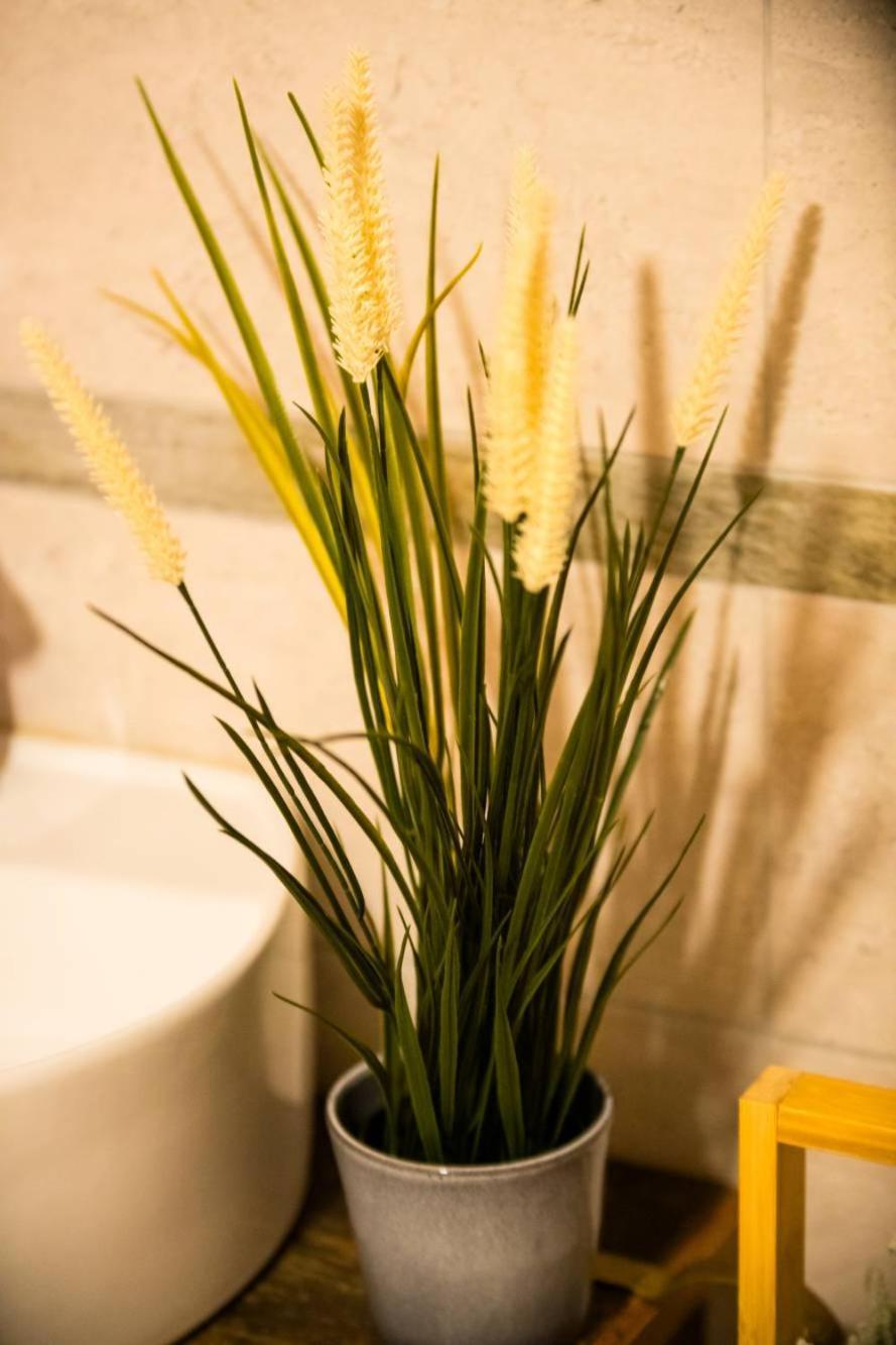 Achillea Apartment Rhemes-Saint-Georges Ngoại thất bức ảnh